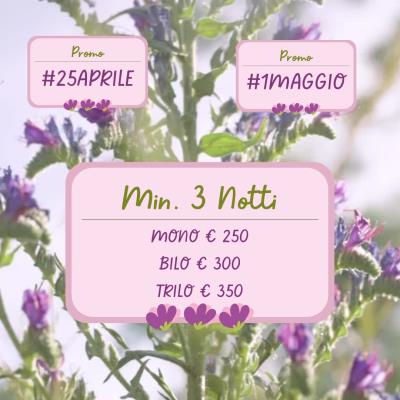 Ponti di Primavera al Mare  Offerta Speciale 25 Aprile e 1 Maggio!